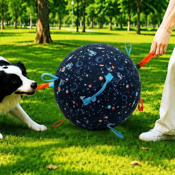 Inflatable Herding Ball